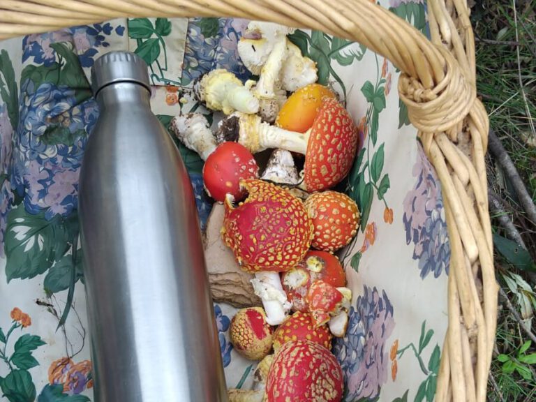 Interesting! But how does it work?